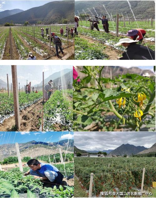 麗江百姓餐飲服務管理有限責任公司 食品安全誠信經營示范單位